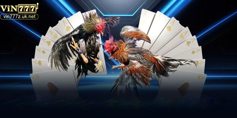 nhung-diem-noi-bat-cua-da-ga-vin777-so-voi-thi-truong Những điểm nổi bật của đá gà Vin777 so với thị trường
