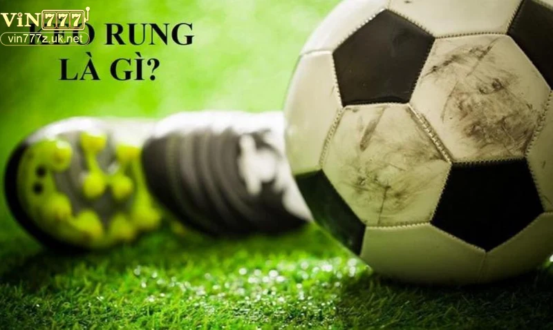 ung-dung-va-luu-y-khi-choi-keo-rung Ứng dụng và lưu ý khi chơi kèo rung