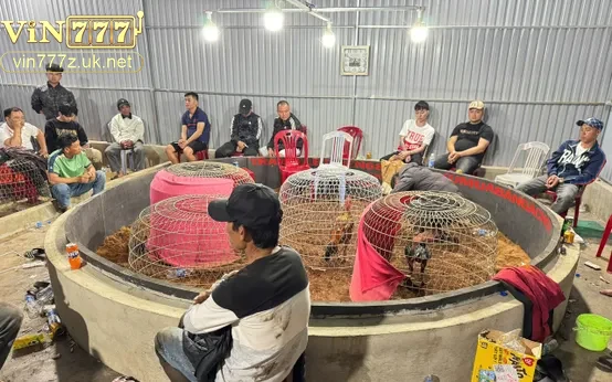 danh-sach-va-phan-tich-top-5-truong-ga-noi-bat-hien-nay Danh sách và phân tích top 5 trường gà nổi bật hiện nay