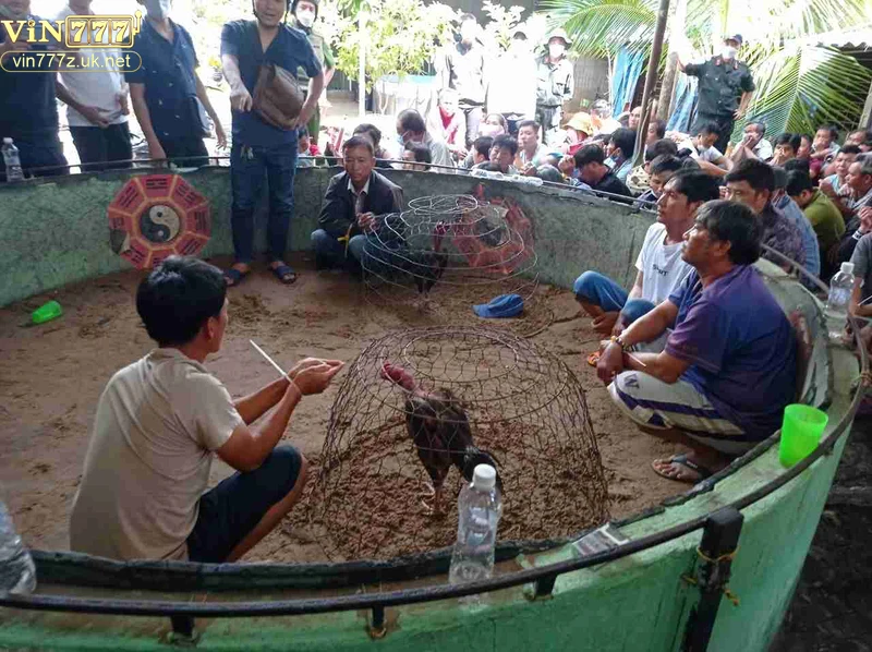 tieu-chi-danh-gia-truong-ga-uy-tin Tiêu chí đánh giá trường gà uy tín