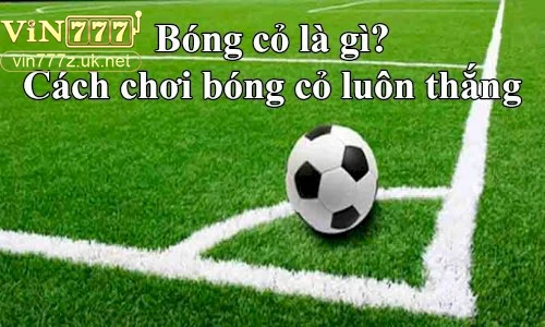 nhung-luu-y-quan-trong-khi-tham-gia-bong-co Những lưu ý quan trọng khi tham gia bóng cỏ