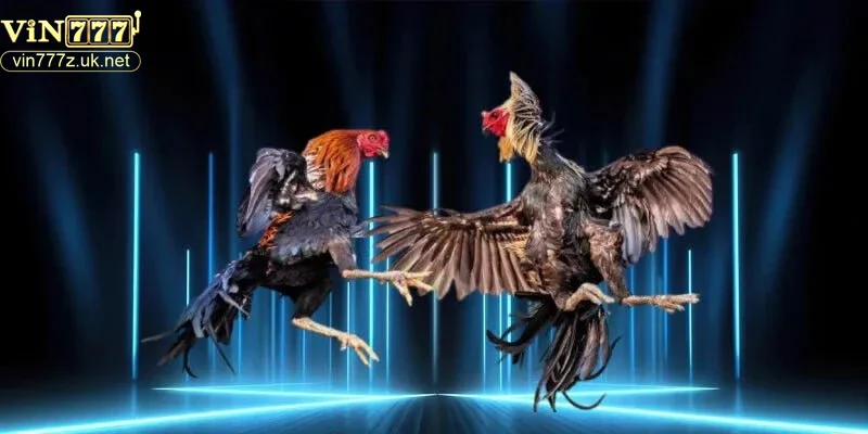 meo-va-chien-thuat-de-toi-uu-trai-nghiem-va-thang-cuoc Mẹo và chiến thuật để tối ưu trải nghiệm và thắng cược