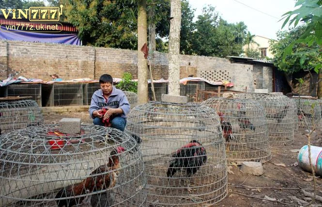 cham-soc-sau-tran-dau Chăm sóc sau trận đấu